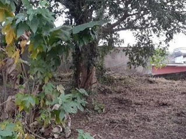 Casa para Venda no Bairro Bico do Pato