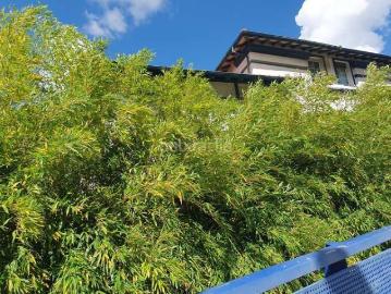 Casa pareada en venta en Bilbao, Matiko Ciudad Jardín. Casas pareadas.