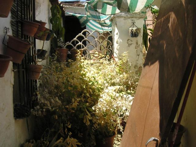 Casa pareada en venta en Puebla de Sancho Pérez