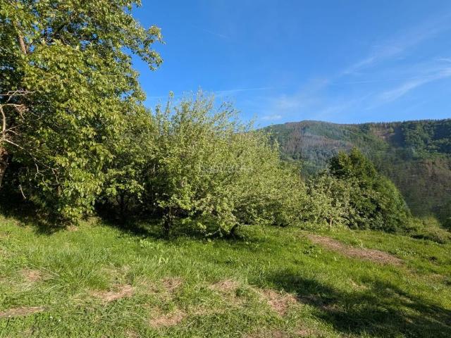 Casa pareada en venta en Zegama. Casas pareadas.