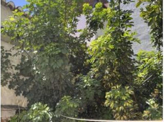 Casa pareada Venta Mijas, Centro