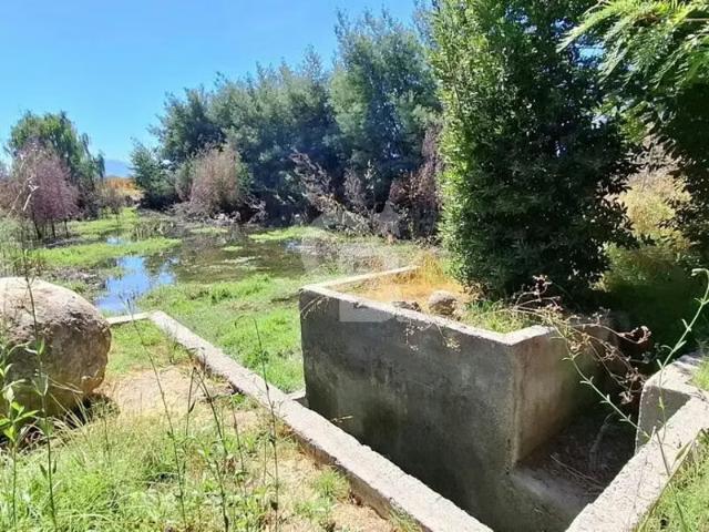 Casa Patronal en Santa Cruz Libertador B. O'Higgins | 4 dormitorios por 800000. 00 en Santa Cruz