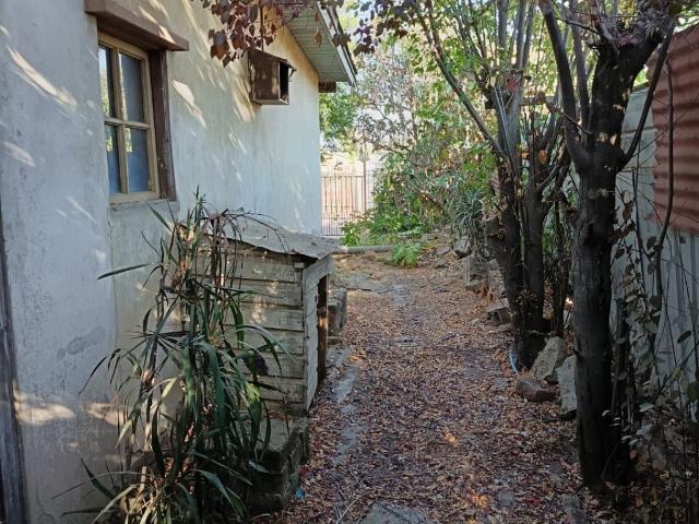 Casa quinta, troncos viejos, quilpue
