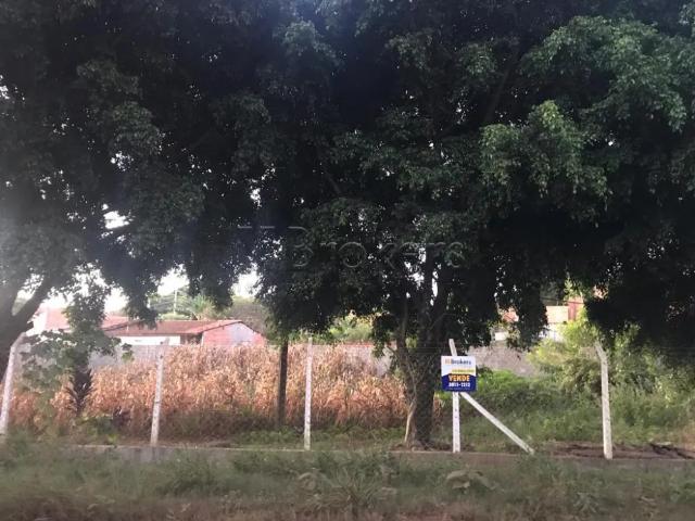 CASA RUBIÃO JUNIOR BOTUCATU / SP