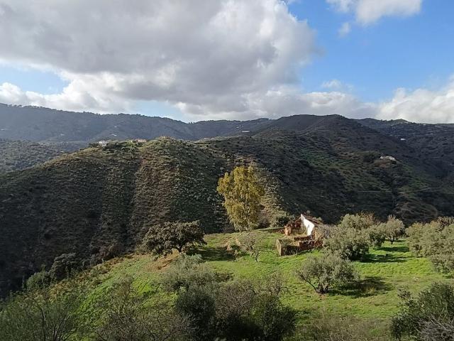 Casa rústica, Colmenar