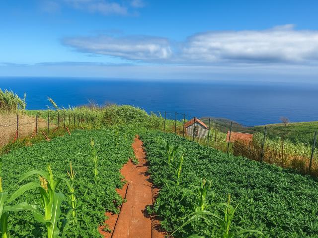 Um Refúgio em Santa: Onde a Costa Selvagem da Madeira Se Encontra com a Pura Serenidade