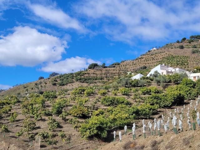 Casa rústica, Competa