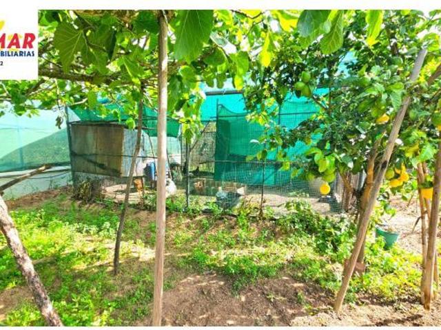 CASA RUSTICA CON TERRENO ZONA AVDA DE ROTA