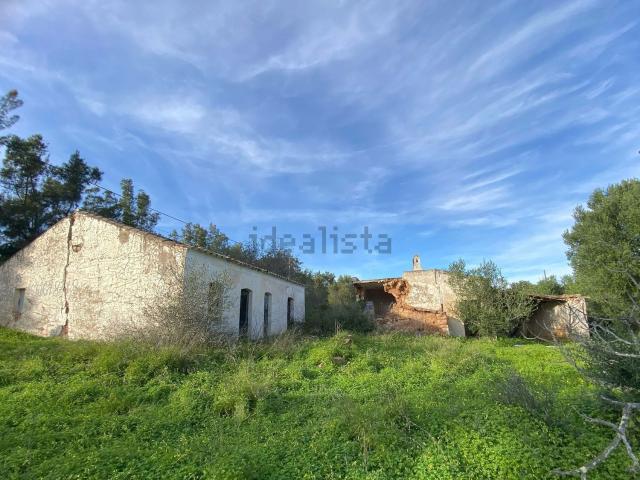 Casa rústica, Conceição