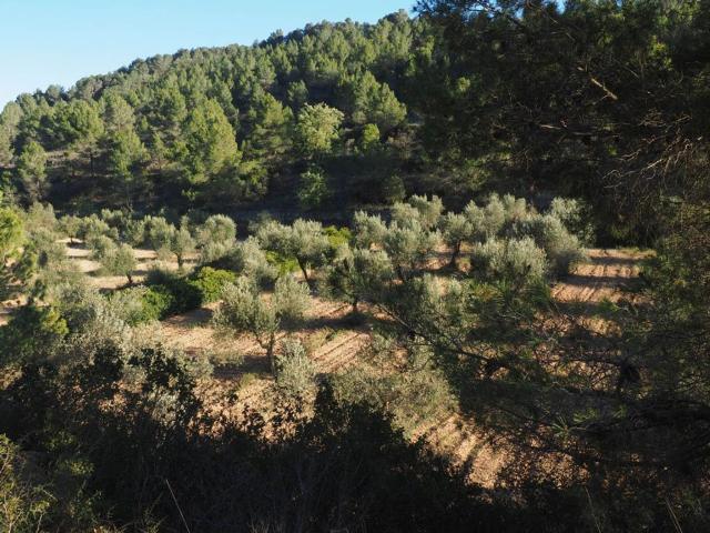 Casa rústica, Corbera d&apos Ebre