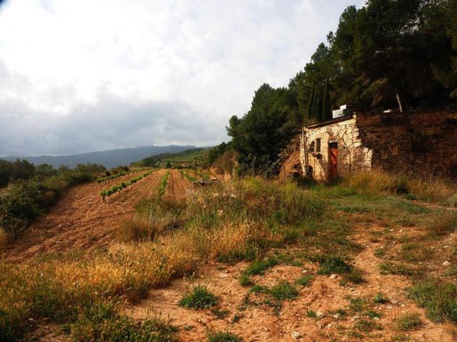 Casa rústica, Corbera d&apos Ebre