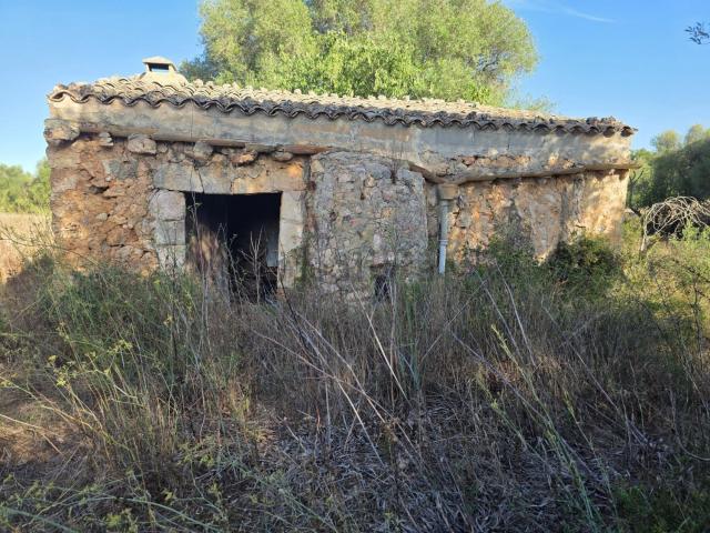 Casa rústica, Costitx