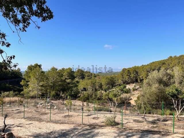 Casa rústica, Calvià