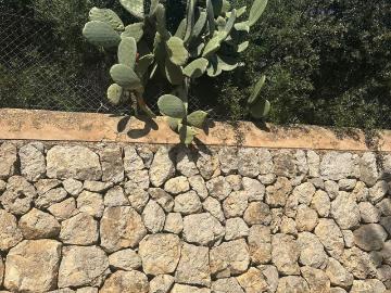 Sant Agustí, Mallorca, Islas Baleares