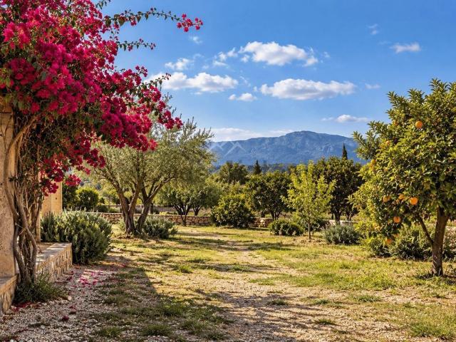 Casa rústica, Camp d&apos En Serralta, Palma de Mallorca