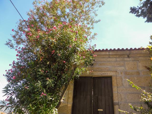 Casa rústica, Canelas