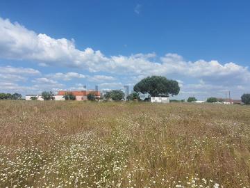 Canha, Montijo, Concelho de Benavente, Distrito de Santarém
