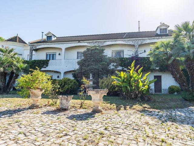 Casa rústica, Canha