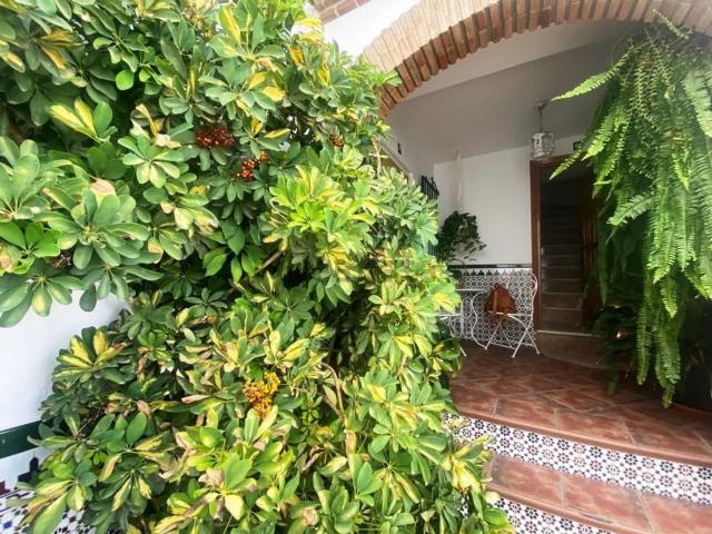 Casa rústica, Canillas de Albaida