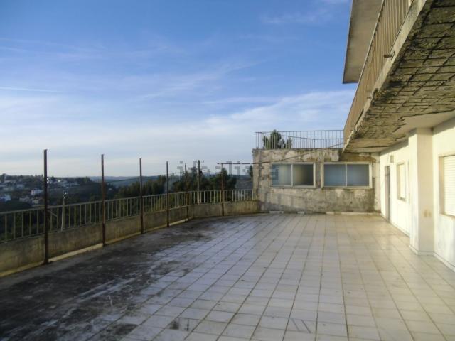 Casa rústica, Carvalhal