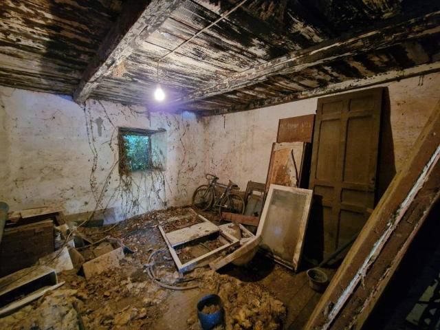 Casa rústica / Caserío en Venta en Tineo