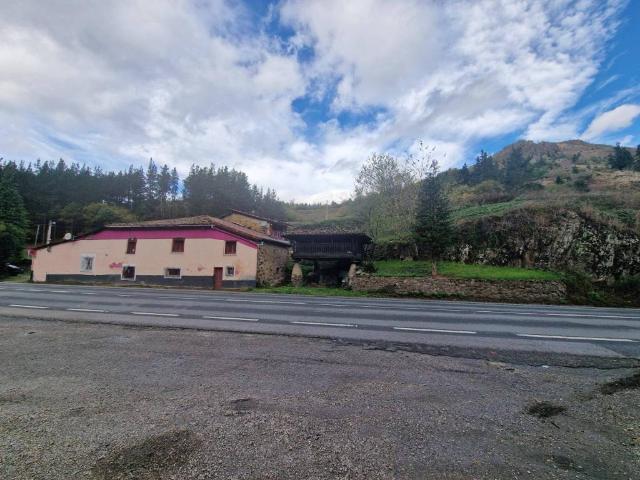Casa rústica / Caserío en Venta en Tineo