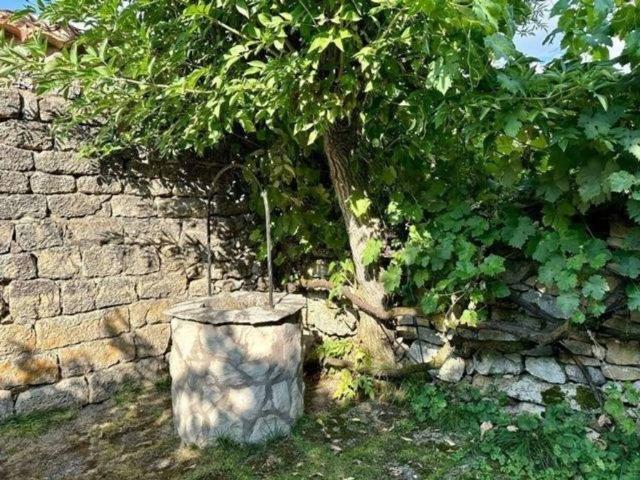 Casa rústica / Caserío en Venta en Valle de Las Navas