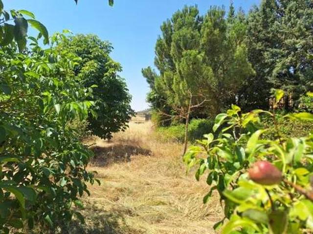 Casa rústica / Caserío en Venta en Valle de Santibáñez