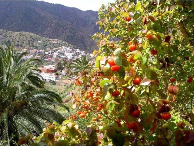 Casa rústica / Caserío en Venta en Vallehermoso