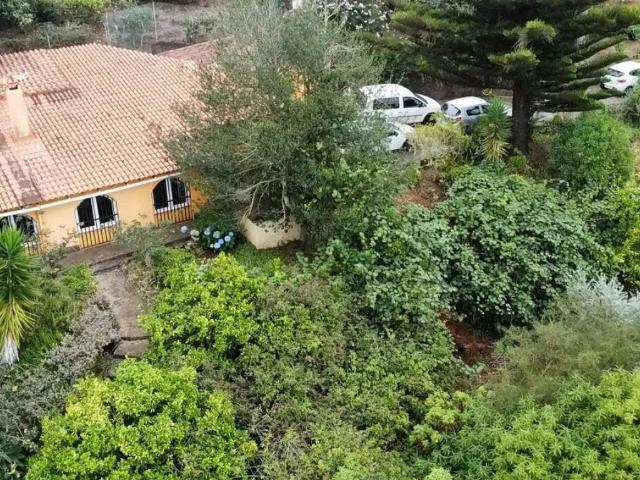 Casa rústica / Caserío en Venta en Valleseco