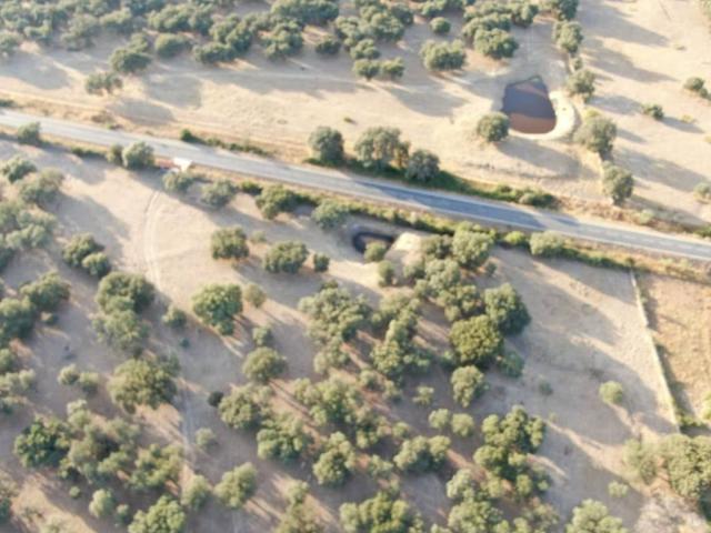 Casa rústica / Caserío en Venta en Abadía
