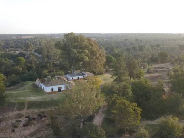 Casa rústica / Caserío en Venta en Almonte