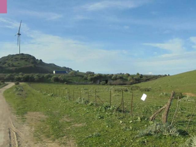 Casa rústica / Caserío en Venta en Alcalá de los Gazules