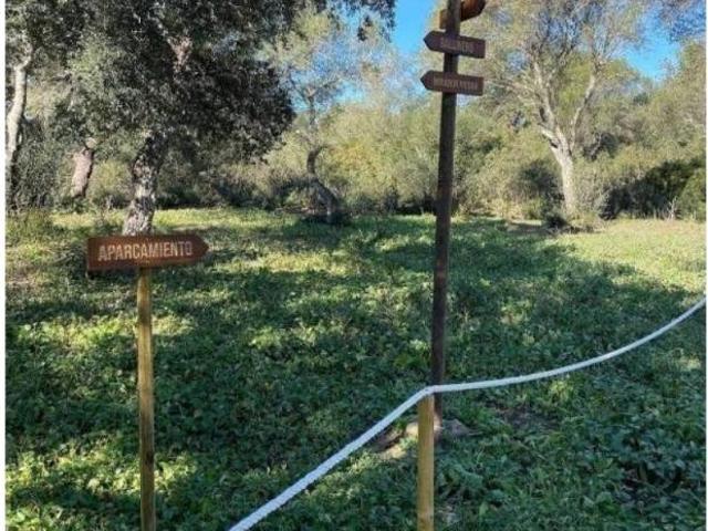 Casa rústica / Caserío en Venta en Alcalá de los Gazules