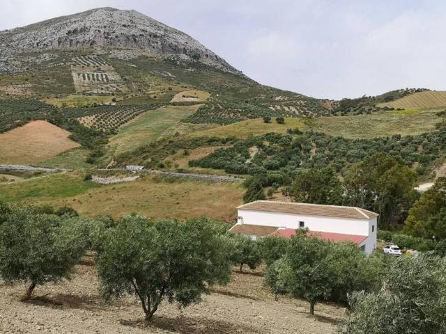 Casa rústica / Caserío en Venta en Antequera
