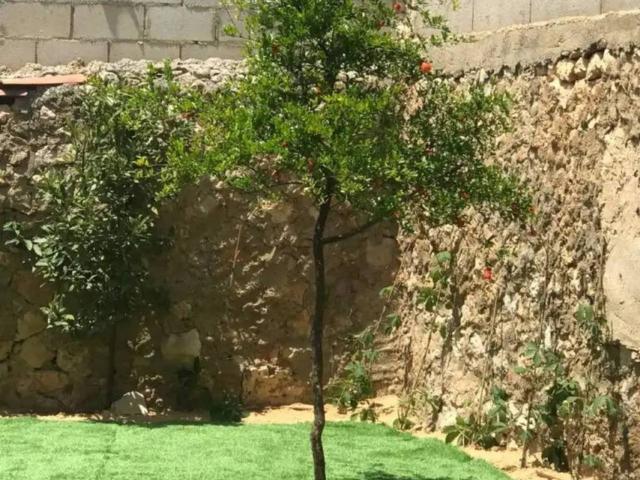 Casa rústica / Caserío en Venta en Arcos de Jalón