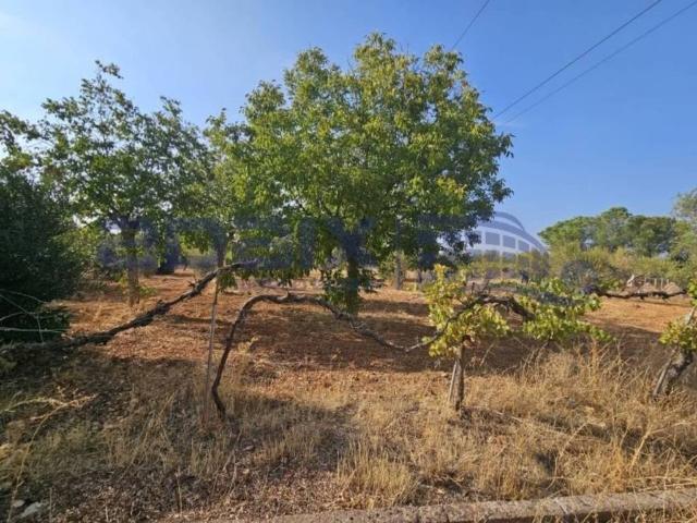 Casa rústica / Caserío en Venta en Argamasilla de Calatrava