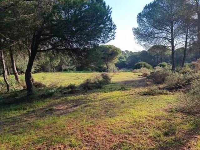 Casa rústica / Caserío en Venta en Ayamonte