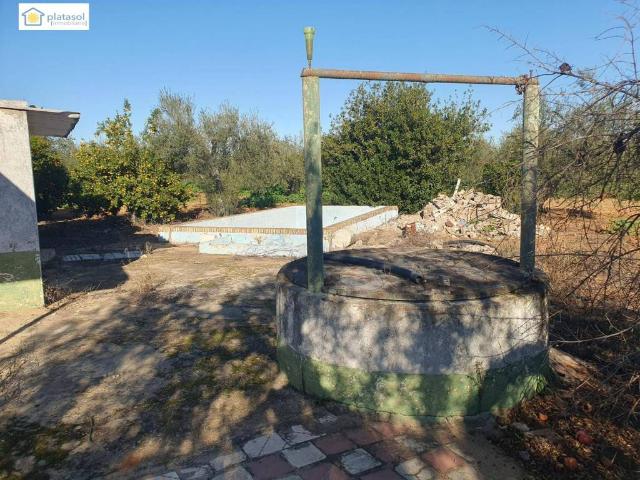 Casa rústica / Caserío en Venta en Aznalcázar