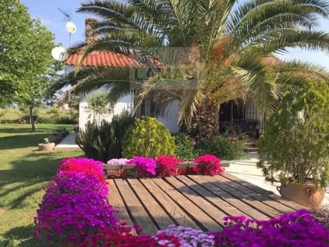 Casa rústica / Caserío en Venta en Belvís de Monroy