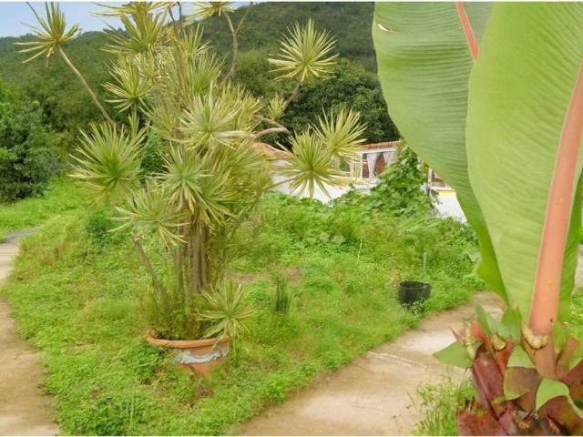 Casa rústica / Caserío en Venta en Breña Alta
