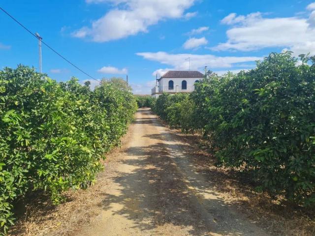 Casa rústica / Caserío en Venta en Cantillana