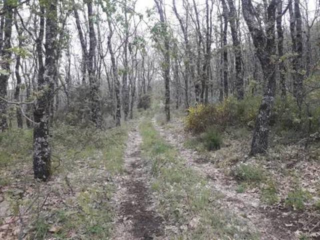 Casa rústica / Caserío en Venta en Candeleda