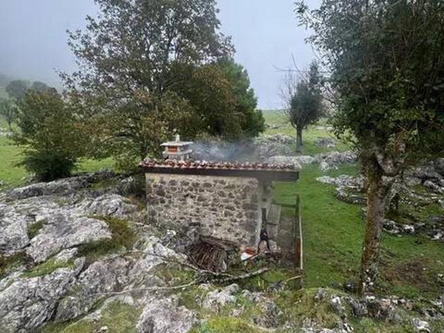 Casa rústica / Caserío en Venta en Cangas de Onís