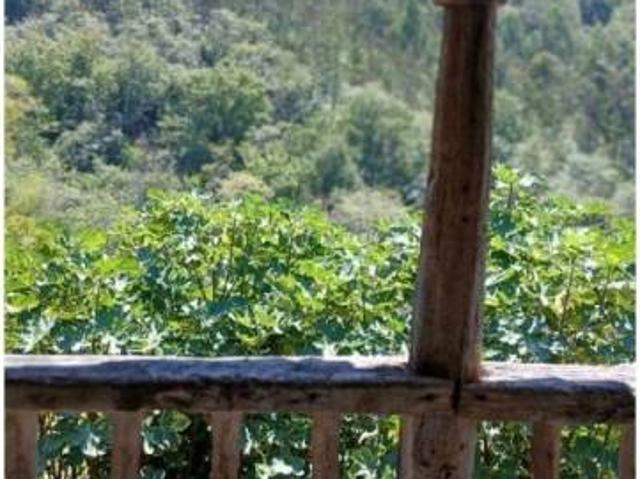 Casa rústica / Caserío en Venta en Cangas de Onís