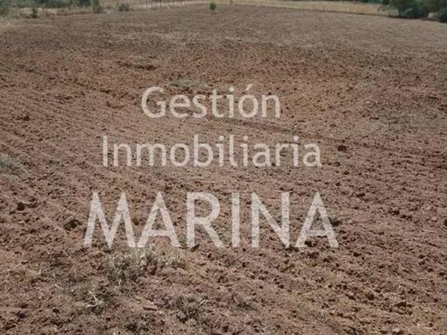 Casa rústica / Caserío en Venta en Carranque