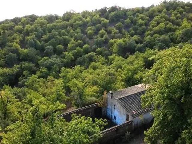 Casa rústica / Caserío en Venta en Castaño del Robledo