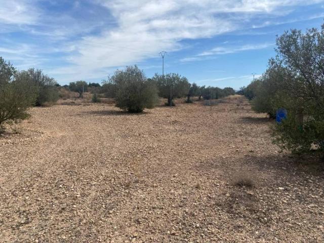 Casa rústica / Caserío en Venta en Caudete