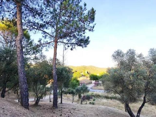 Casa rústica / Caserío en Venta en Cazalla de La Sierra