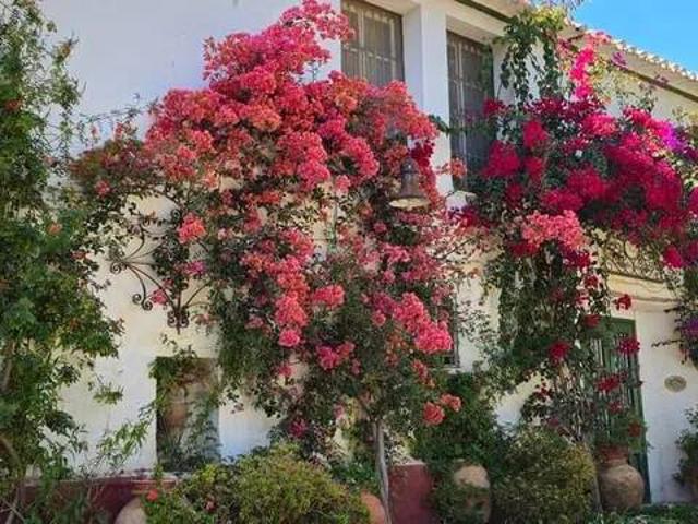 Casa rústica / Caserío en Venta en Cehegín